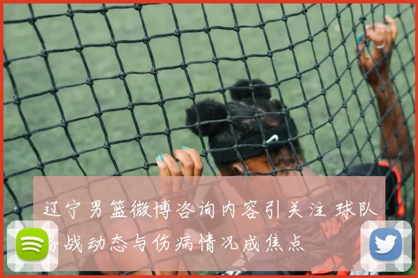 辽宁男篮微博咨询内容引关注 球队备战动态与伤病情况成焦点