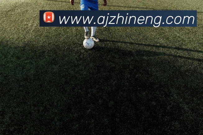 乐竞体育登录入口·官方网站APP 封面图